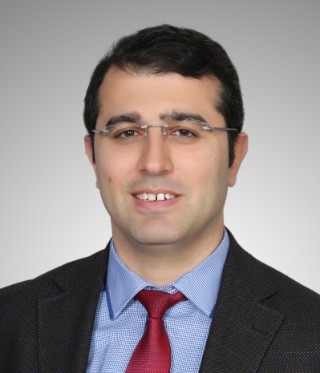 Hüsnü Dal